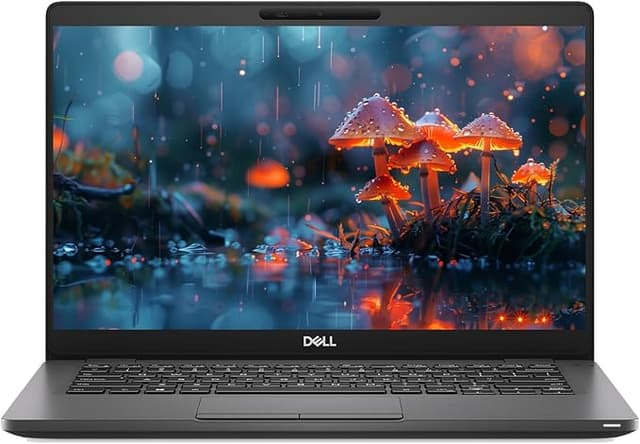 Dell Latitude 5300 Laptop Cpmputer,13.3'' Laptop Core i5-8365U, 16GB DDR4 RAM, 512GB SSD, Webcam, WiFi, Type-C, RJ-45, Windows 10 Pro (Renewed)